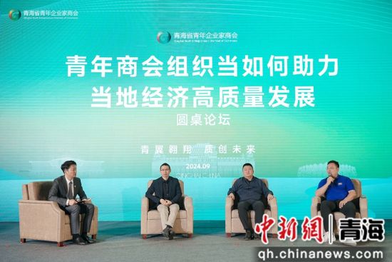 图为大会圆桌论坛。主办方供图