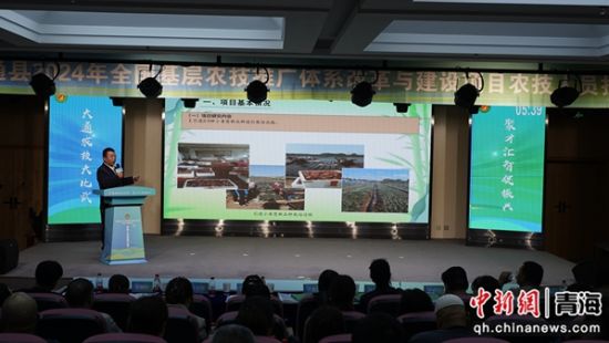  图为大赛现场。主办方供图