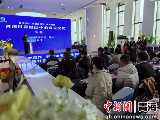 图为城西区领导致辞。李隽 摄