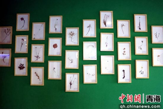 ͼϊ䬺�ʪ����̬�۾�����һ�ǡ�ѧ�� ��